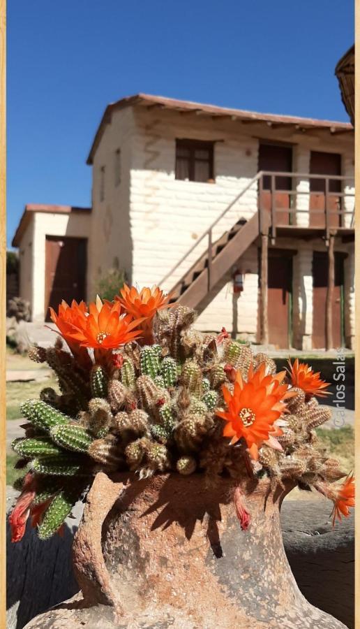 El Sol Hostel De Умауака Экстерьер фото